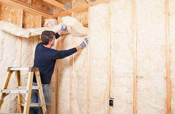 Best Wall Insulation Installation  in Ponderosa Pine, NM